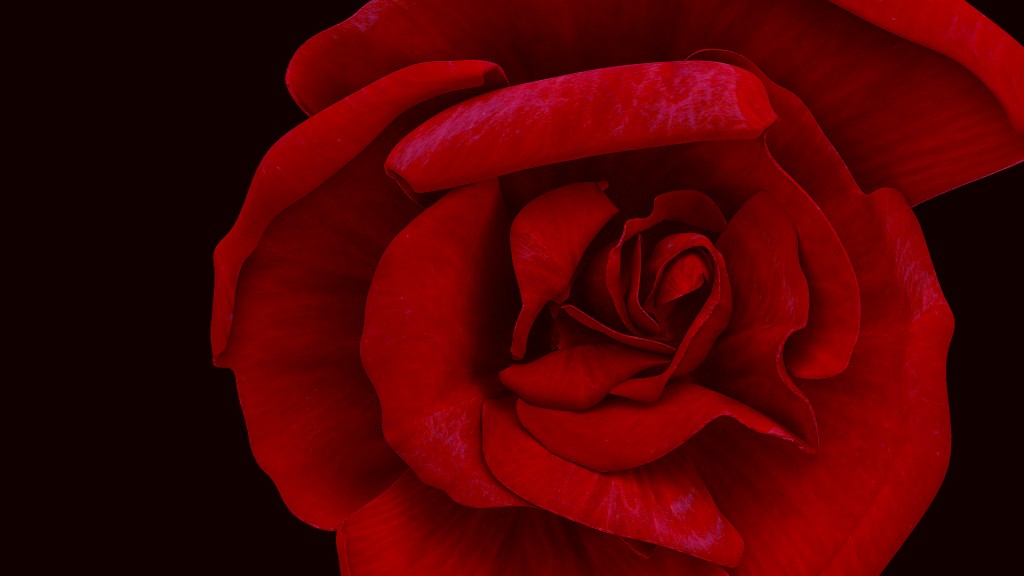 Rose preview image 1